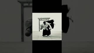 Aikido techniques Matusiak Akademia Aikido #martialarts  #aikido #matusiakakademiaaikido