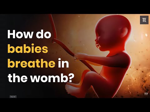 Video: Hoe Een Baby Ademt In De Baarmoeder