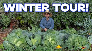 Touring My Winter Garden | Vegetable Uses and Growing Tips by Jacques in the Garden 50,842 views 2 months ago 24 minutes