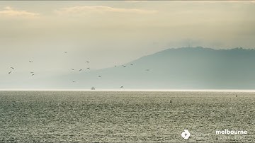 National Bird Week | 18 - 24 October, 2021