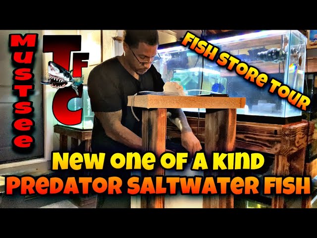 nEw OnE oF a KiNd PrEdAtOr SaLtWaTeR fIsH! 