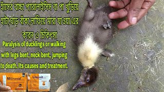 হাঁসের বাচ্চা মারা যাওয়ার কারন ও চিকিৎসা Causes and treatment of dying ducklings khaki Campbell