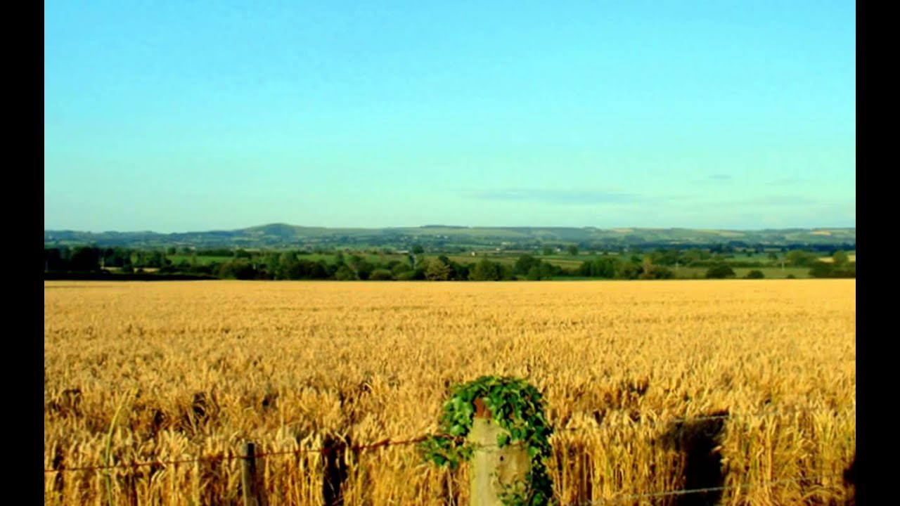 Arable land - YouTube