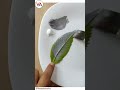 Leaf impression painting  leaf art for beginners  acrylic painting by vanishree art shorts short