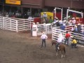 Steer Wrestling