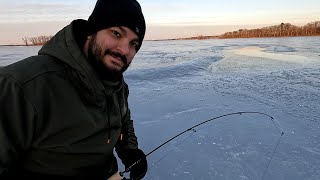 My Best Catch Yet! - Ice Fishing For Walleye