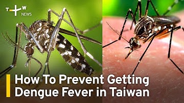 How To Avoid Getting Dengue Fever in Taiwan | TaiwanPlus News