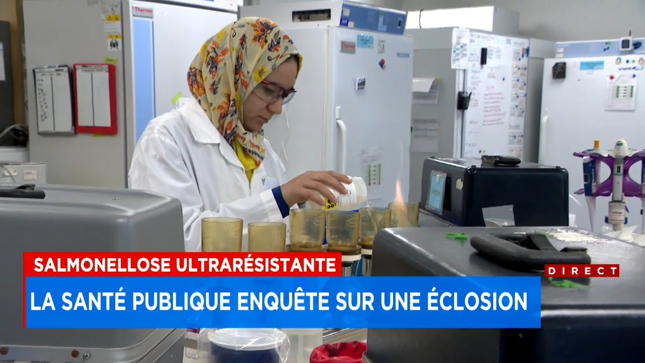 Nettoyeur De Salmonellose Dans Le Gard Page Jaunes La Santé publique du Québec enquête sur une éclosion de salmonellose