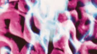 Memories Extended 12 Mix