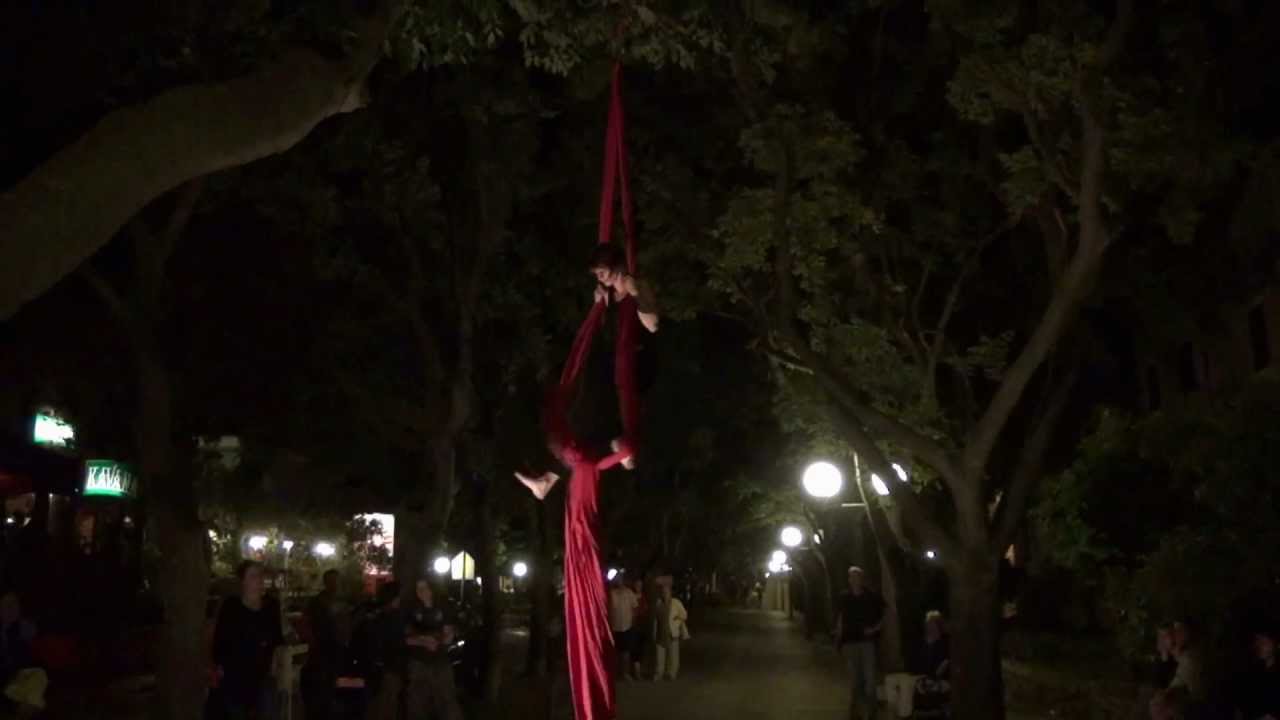 NIVES SOLDIČIĆ - Performance on silk