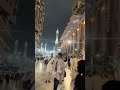 Feel the peace❤️