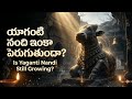 Why is Nandi growing in Yaganti? Why don't crows come? | The Mysterious Miracles of Yaganti #tren...