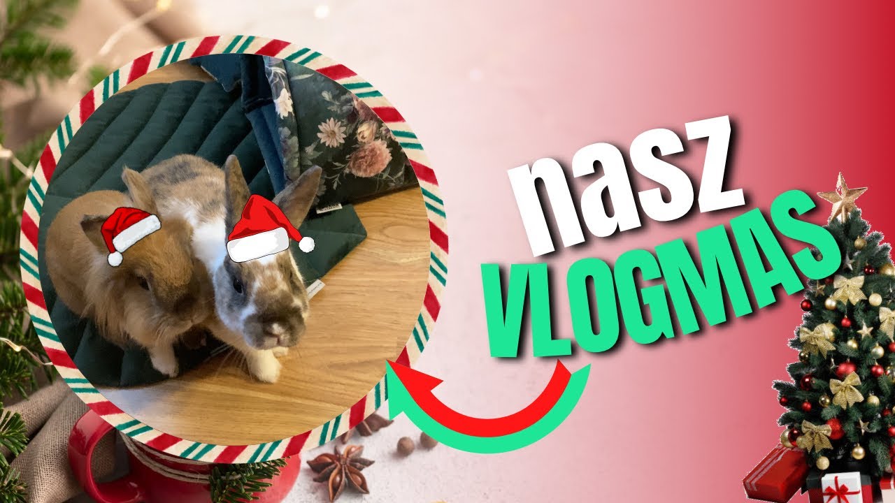 ❤️VLOGMAS❤️| wybieram prezenty dla uszaków | otwieramy kalendarze adwentowe