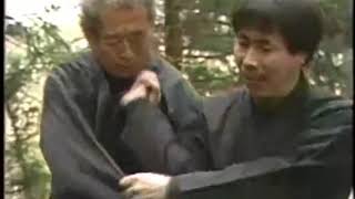 震電不動竜 Shinden Fudo Ryu Daken jutsu by Soke Masaaki Hatsumi初美正明