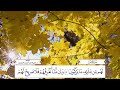 سورة يس بصوت القارئ د تميم بن أحمد الريمي