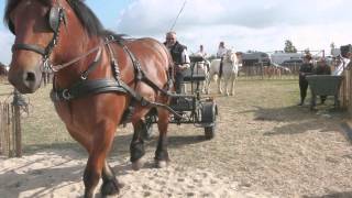 Arras Terres en Fête  2014