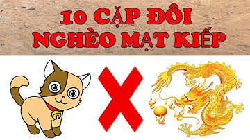 Điểm Mặt 1 Cặp Con Giáp Hễ Cưới Nhau Là Vận Xui Đeo Bám Tan Của Nát Nhà Nghèo Mạt Kiếp Cả Đời