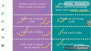 ClassIX Science 25 05 2020 by Ms Mridulata Upadhyay