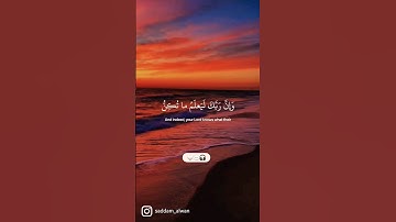 أجمل مقاطع قرآن كريم قصيرة بصوت يريح عليك قلبك القارئ فارس عباد #quran #قران_كريم