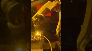 IMG 5561
