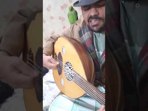 قصتي في تعلم الايقاع