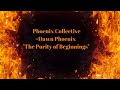 The Purity of Beginnings | Phoenix Collective via Dawn Phoenix