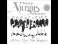 Como han pasado los años-Mariachi Vargas de Tecalitlan