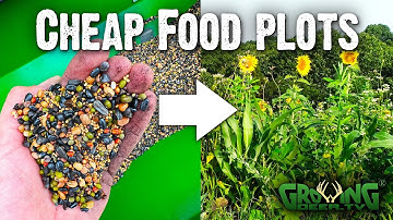 How to Get Better Food Plots with Less Fertilizer: Unbelievable Results!
