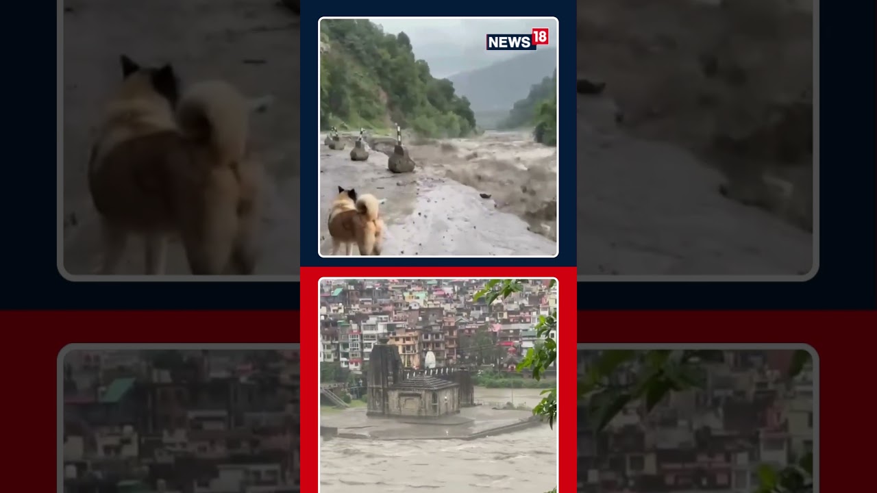 Heavy Rainfall Damages The Chandigarh-Manali Highway Near Mandi | N18S 