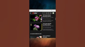 Cómo crear un menú fijo en tu web #shorts #html #css #desarrolloweb