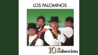 Video thumbnail of "Los Palominos - Aposté a Ganar"
