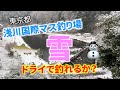 【雪シーズンに遊ぶ】