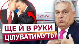 🤯 З ПОЧЕСТЯМИ та ЧЕРВОНОЮ ДОРІЖКОЮ? Європа та Орбан ГОТУЮТЬСЯ зустрічати Путіна!