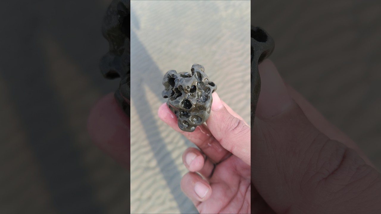 Sea stone at the beach 