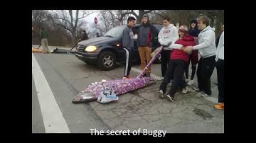 Who Drives The Buggy?