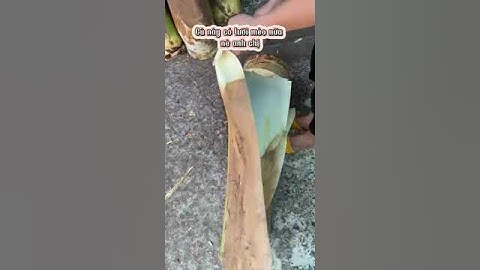 Tách Bẹ Củ Hủ Dừa 🥥