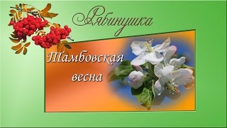 Тамбовская весна Тамбовская весна