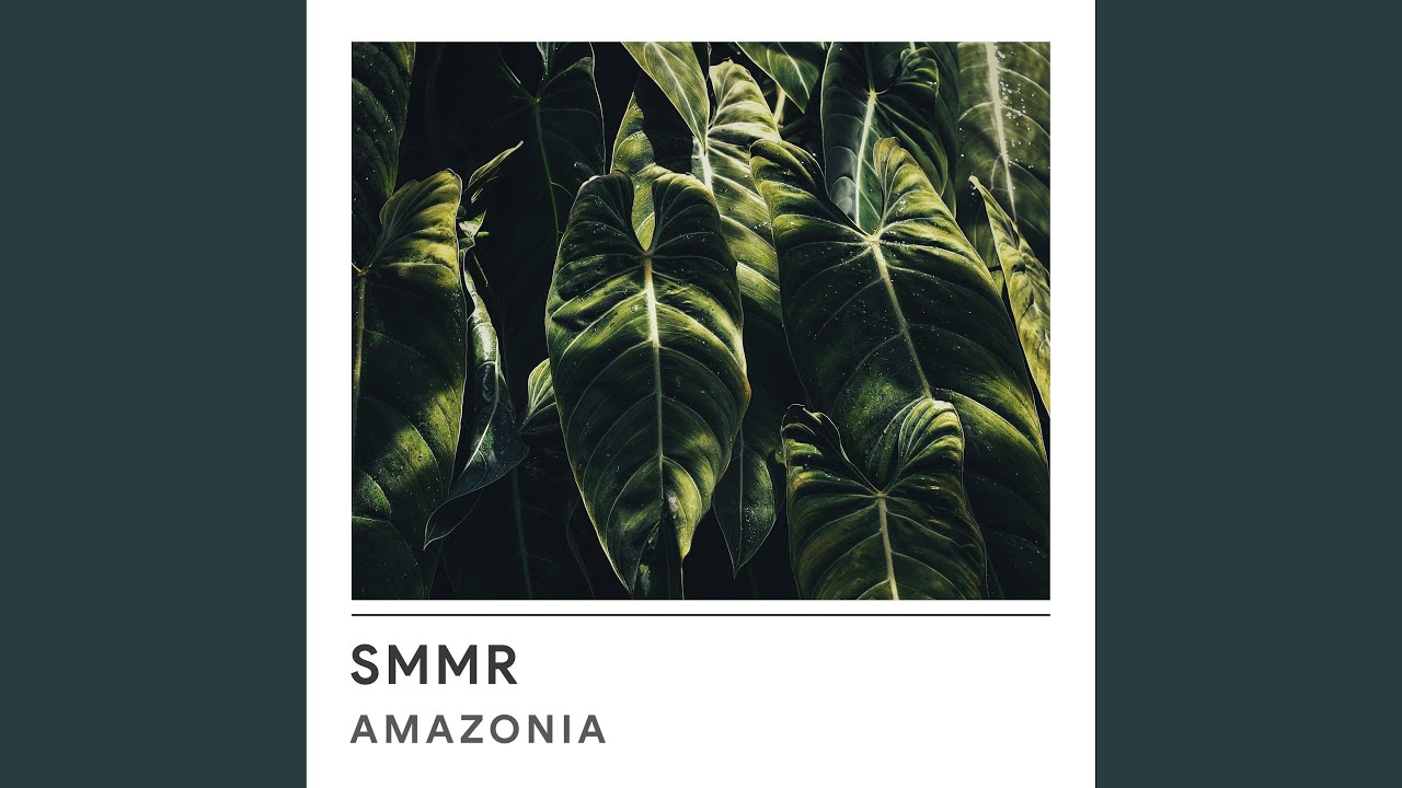 Watch Amazonia on YouTube Watch Amazonia on YouTube
