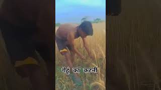 लाईक और सब्सक्राइब ??