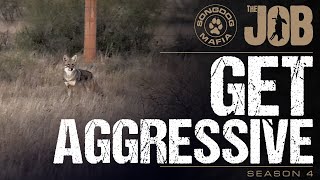 The Job Season 4 E8 - Get Aggressive  - Coyote Calling & Predator Hunting