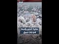 الجيش الإسرائيلي ينفذ عملية تفجير واسعة في بنت جبيل جنوب لبنان