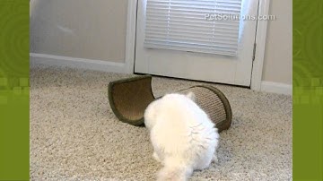 PetSolutions: Dream Curl Two Surface Cat Scratcher