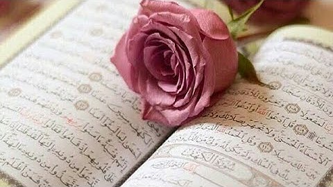 سورة القلم بتلاوة : سالم الرويلي  sourat al Qalam  salem alrwiliy