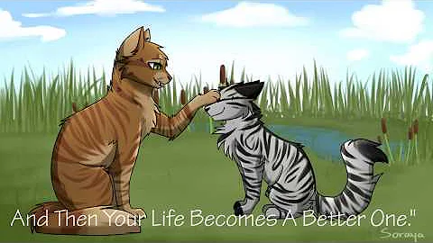 (FR) 7 years old- Etoile Balafré - La Guerre des clans