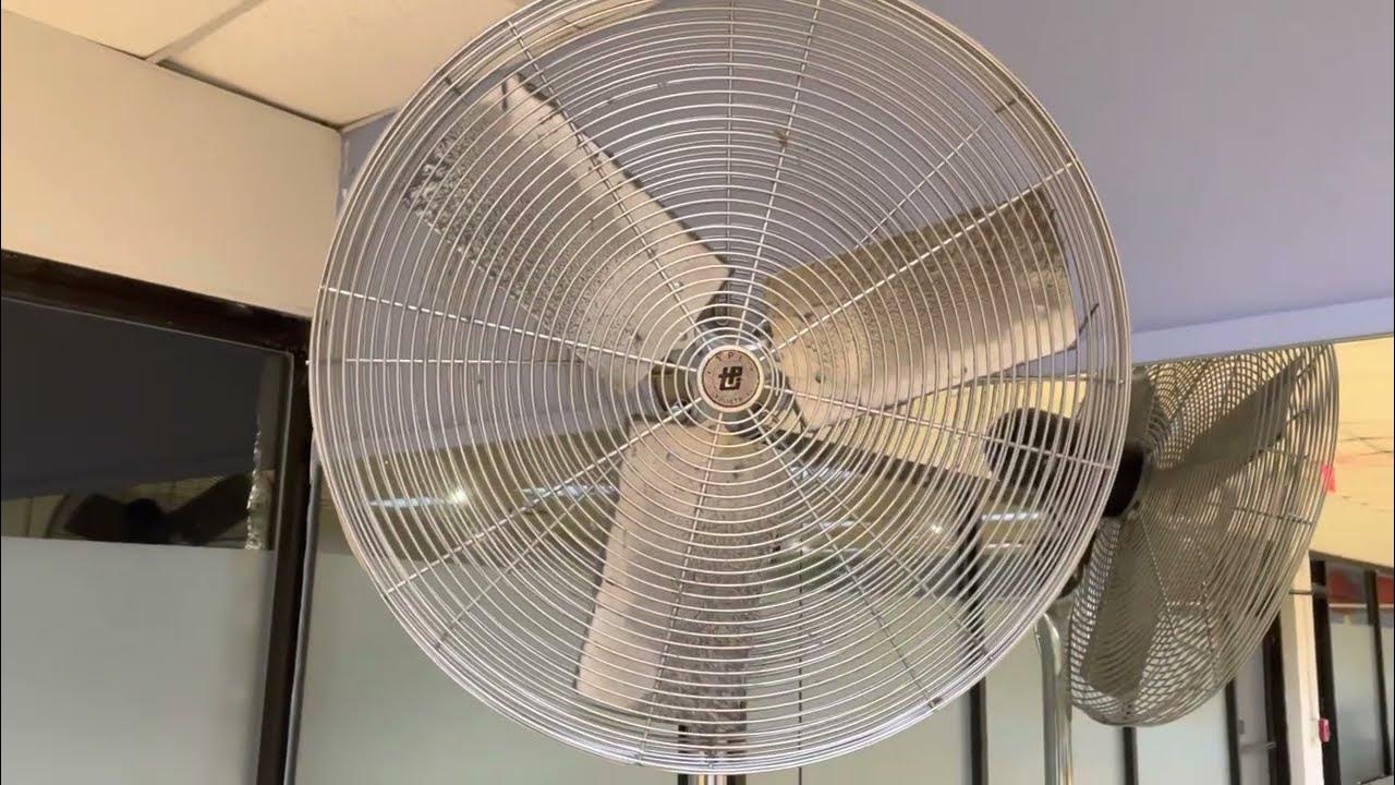 TPI Pedestal Fan At Gym YouTube