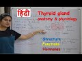 Thyroid gland anatomy & physiology in Hindi || functions || structure || hormones || parathyroid