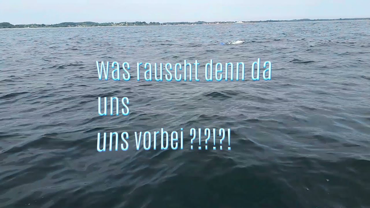 Angeln Dänemark Langeland 2021