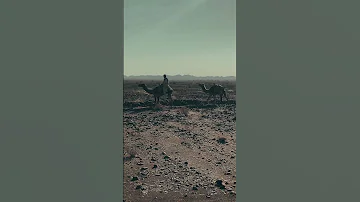 گل زمین بلوچستان بلوچی گانا بلوشی 
