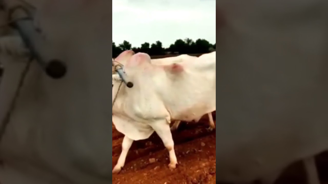 ❤️on the field ❤️