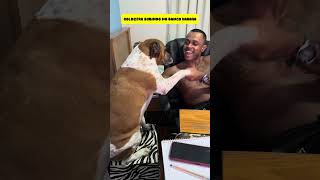 GOLDZERA FAZENDO ARTE NO BANCO #funny #shorts #review #youtubeshorts  #viral #comedy #dogs #foryou